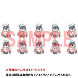 sample_cats
