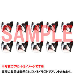 コラボ企画サンプル