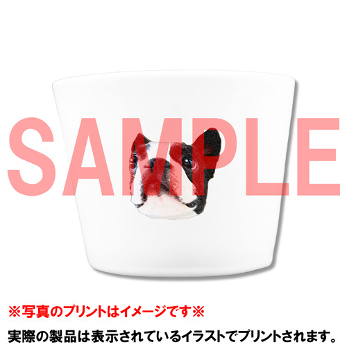 コラボ企画サンプル