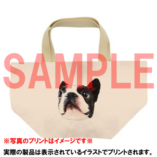 コラボ企画サンプル