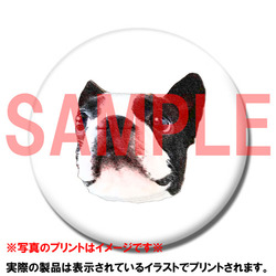 コラボ企画サンプル