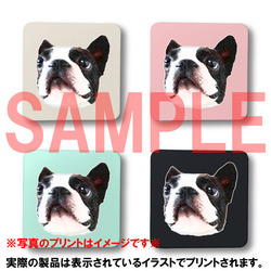 コラボ企画サンプル