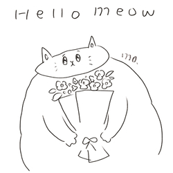 hello meow