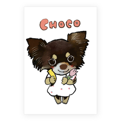 CHOCO