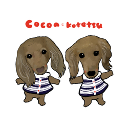 cocoa kotetsu