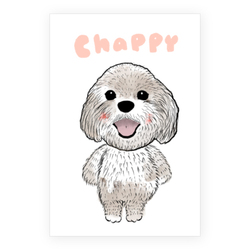 chappy