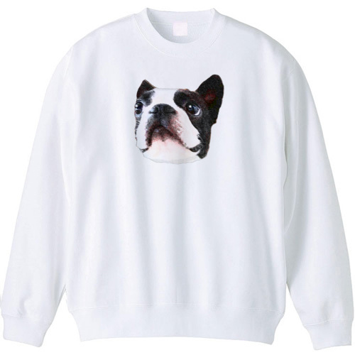 コラボ企画サンプル