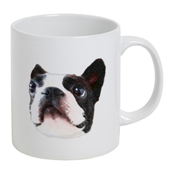 コラボ企画サンプル