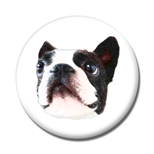 コラボ企画サンプル