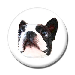 コラボ企画サンプル