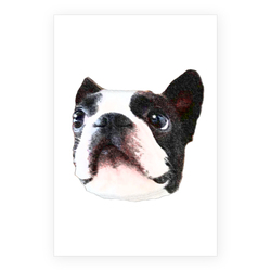 コラボ企画サンプル