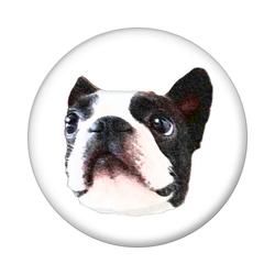 コラボ企画サンプル