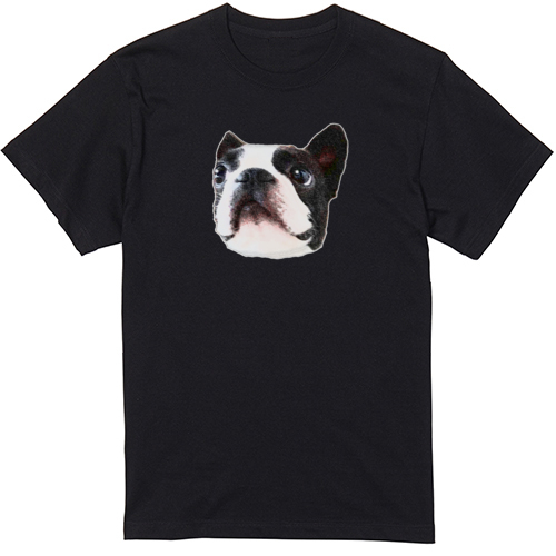 コラボ企画サンプル