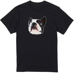 コラボ企画サンプル