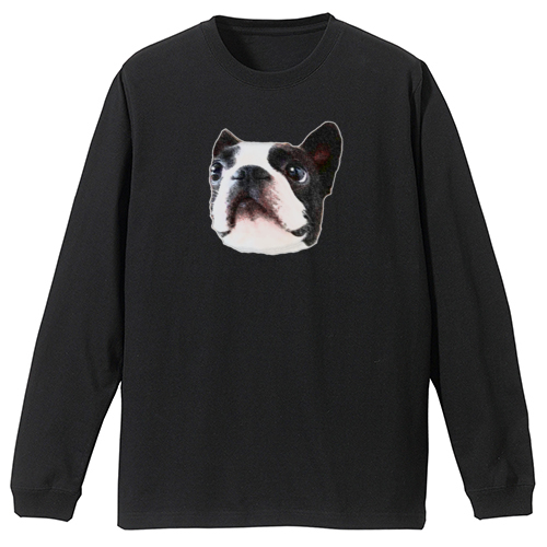 コラボ企画サンプル