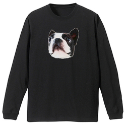 コラボ企画サンプル