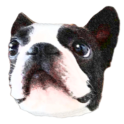 コラボ企画サンプル