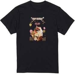 ISLAY