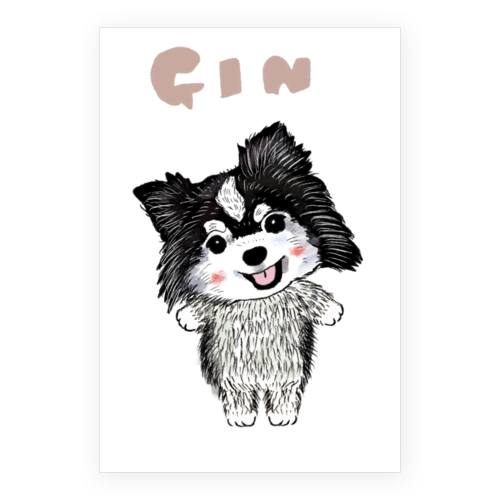 GIN