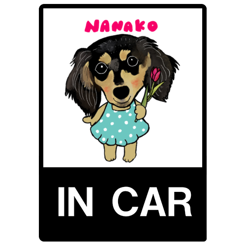 NANAKO