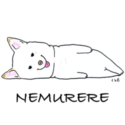 NEMU-094-C NEMURERE