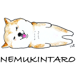 NEMU-093-C NEMUKINTARO