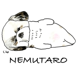 NEMU-087-C NEMUTARO