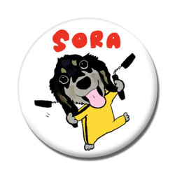 SORA