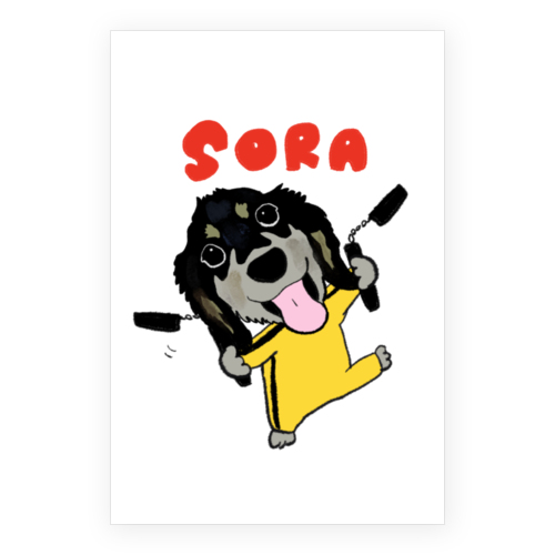 SORA