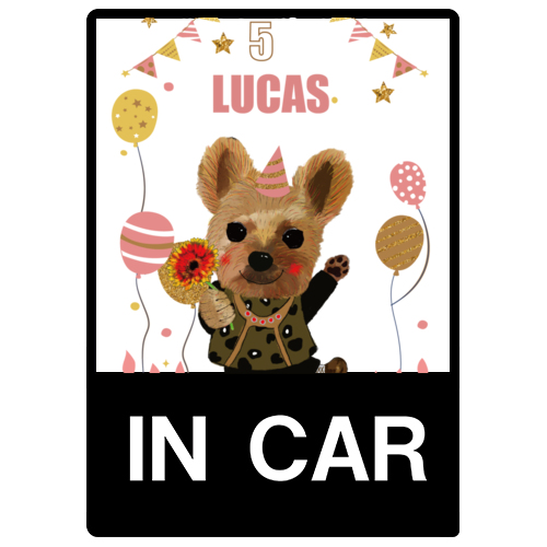 LUCAS