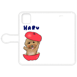 HARU