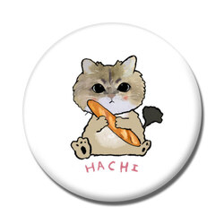 hachi