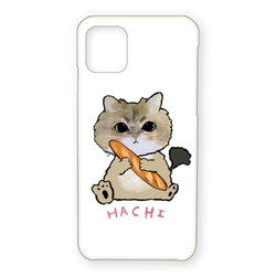 hachi