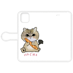 hachi