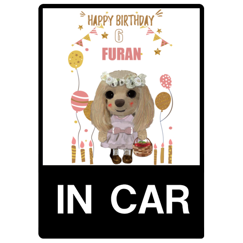 FURAN