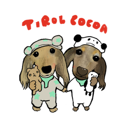 cocoa tirol
