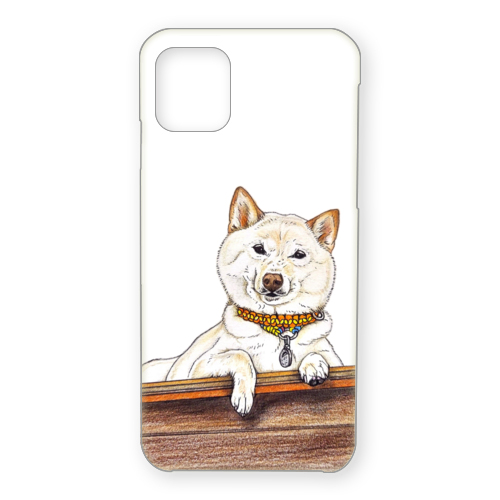 ここ柴コラボ企画2