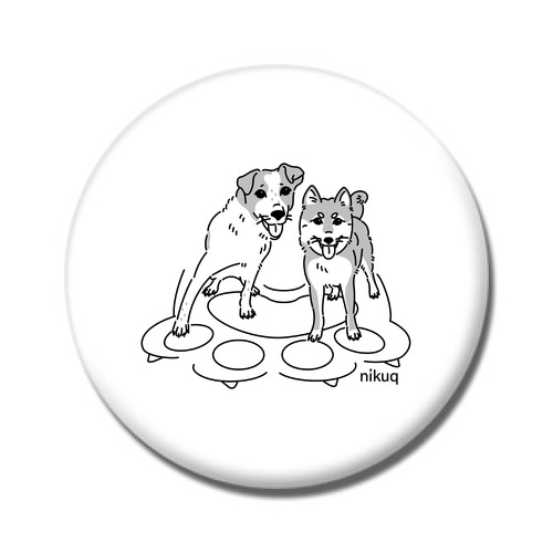 nikuqコラボ企画1