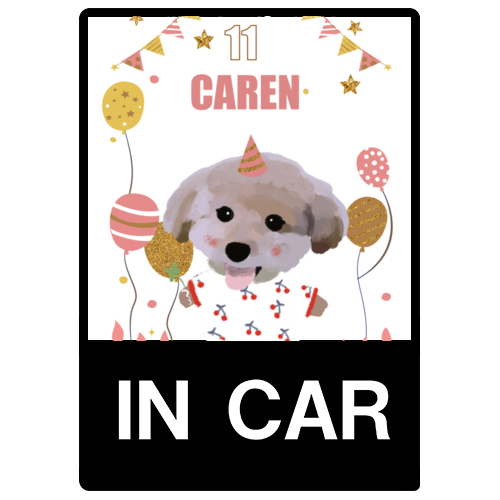 CAREN