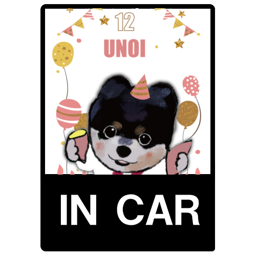 UNOI
