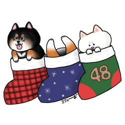 柴犬たちのクリスマス(なんばパークスイベント)