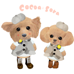Cocoa & Sora