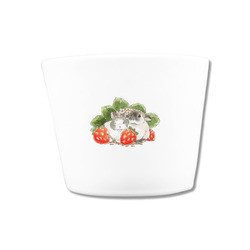 VeryBerry なんばパークスオーダー3