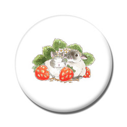 VeryBerry なんばパークスオーダー3