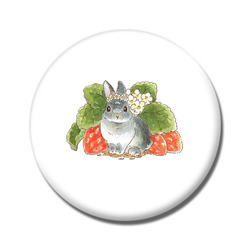 VeryBerry なんばパークスオーダー1