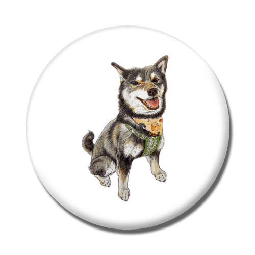 ここ柴コラボ企画7