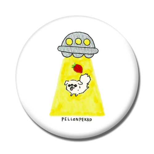 PELLONPEKKO 阪神梅田0211-1