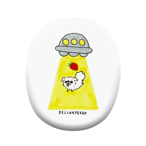 PELLONPEKKO 阪神梅田0211-1