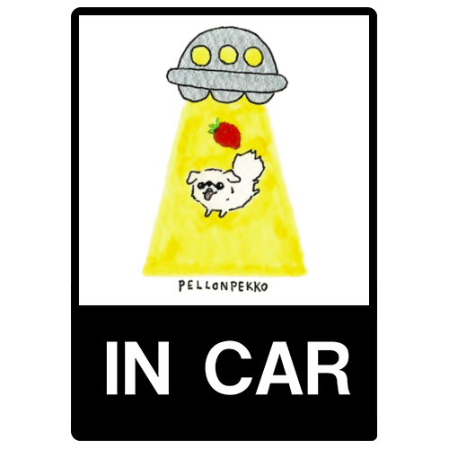 PELLONPEKKO 阪神梅田0211-1