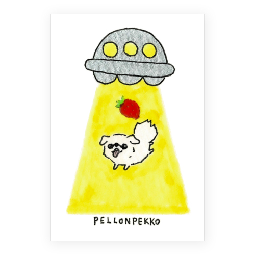 PELLONPEKKO 阪神梅田0211-1